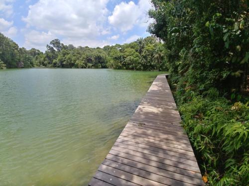 Lower Pierce Reservoir