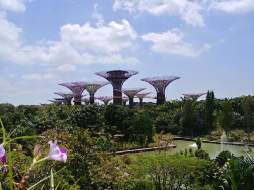 Garden by the Bay