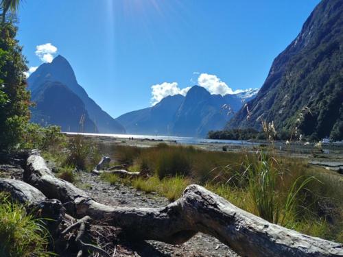 Milford Sound