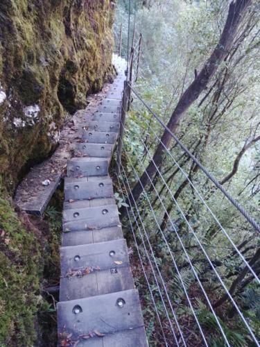 Roberts Point Track (Franz Josef Glacier)