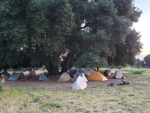Big crowd of PCT hikers
