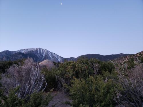 Desert morning (6am)
