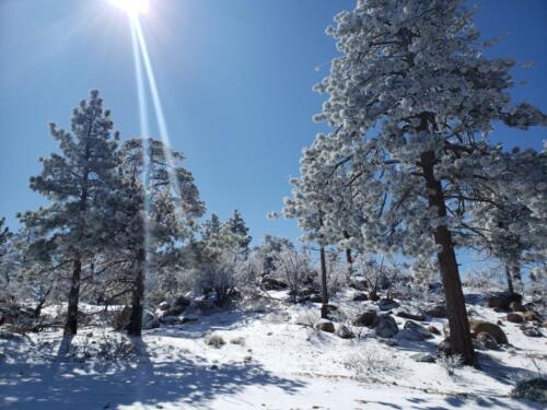 Snowy mountains