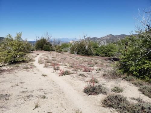 Trail to desert