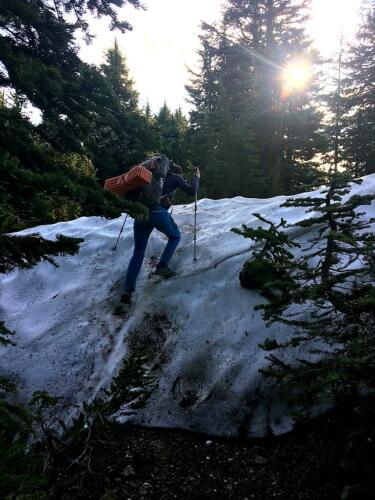 Some last snow patches 