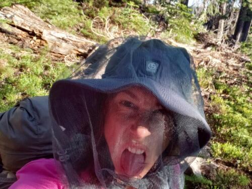 Mosquito terror
