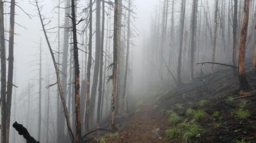 Mystic and creepy 