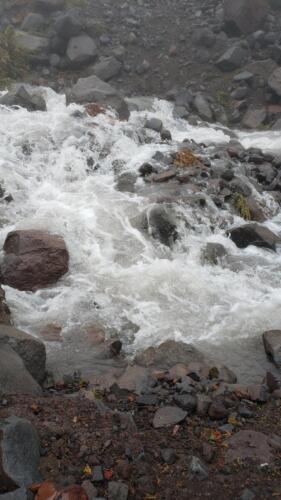 River crossing - survived