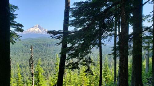 Mt. Hood