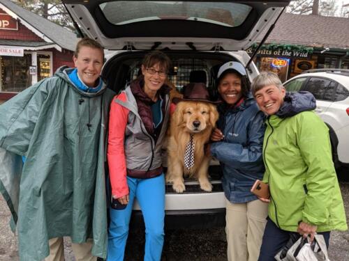 The Mayor of Idyllwild 
