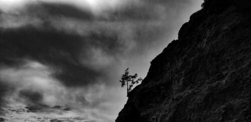 Rialto Beach, Mora