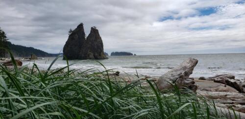 Rialto Beach, Mora