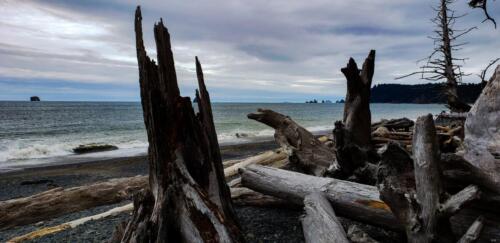 Rialto Beach, Mora